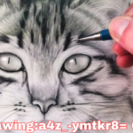 drawing:a4z_-ymtkr8= cat