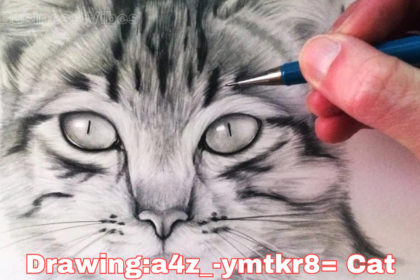 drawing:a4z_-ymtkr8= cat